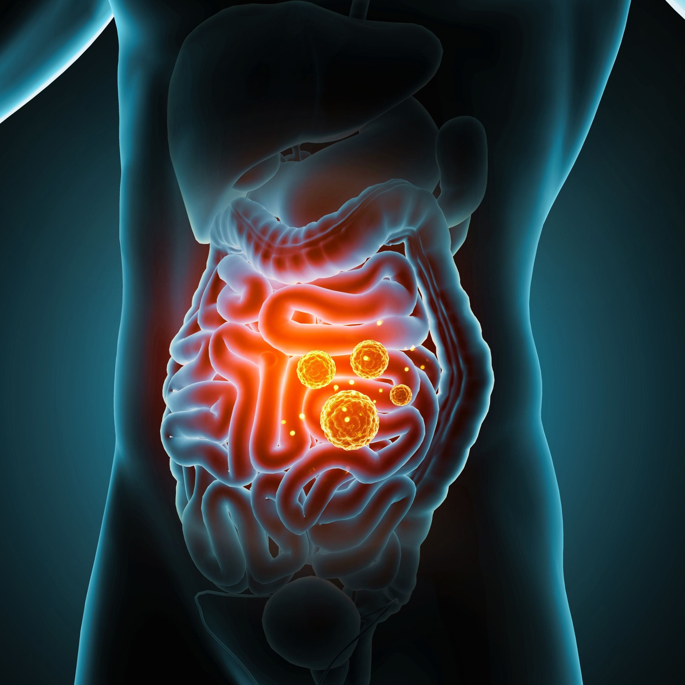 benefits-of-light-therapy-for-inflammatory-bowel-disease-symbyx-biome