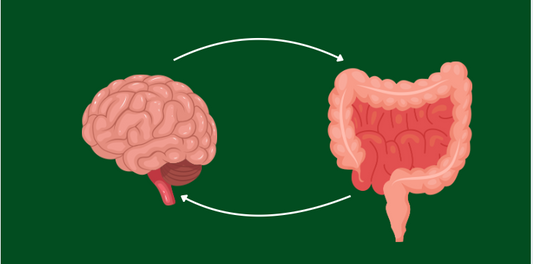 5 things you need to know about the gut–brain axis in Parkinson's disease